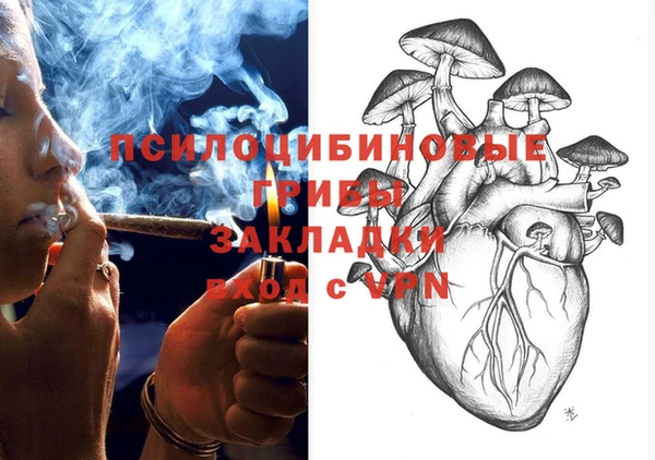индика Абдулино