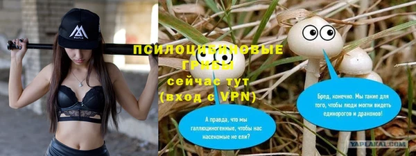 бошки Абинск
