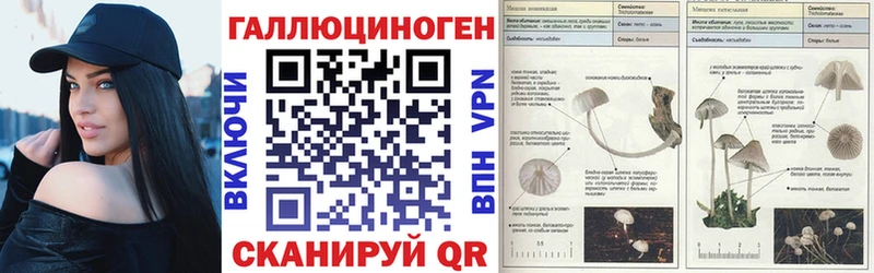 Псилоцибиновые грибы MAGIC MUSHROOMS  где купить наркотик  Камень-на-Оби 
